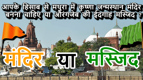 Poll Image